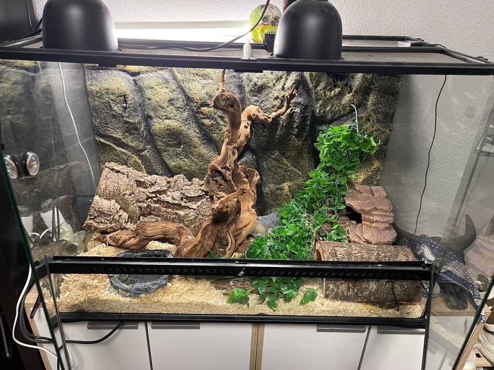 EXO Terrarium L von Qualipet Kaufen auf Ricardo