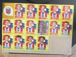 PANINI WM 2026 NORWEGEN - 16 Bilder inkl. Braut Haaland!!!