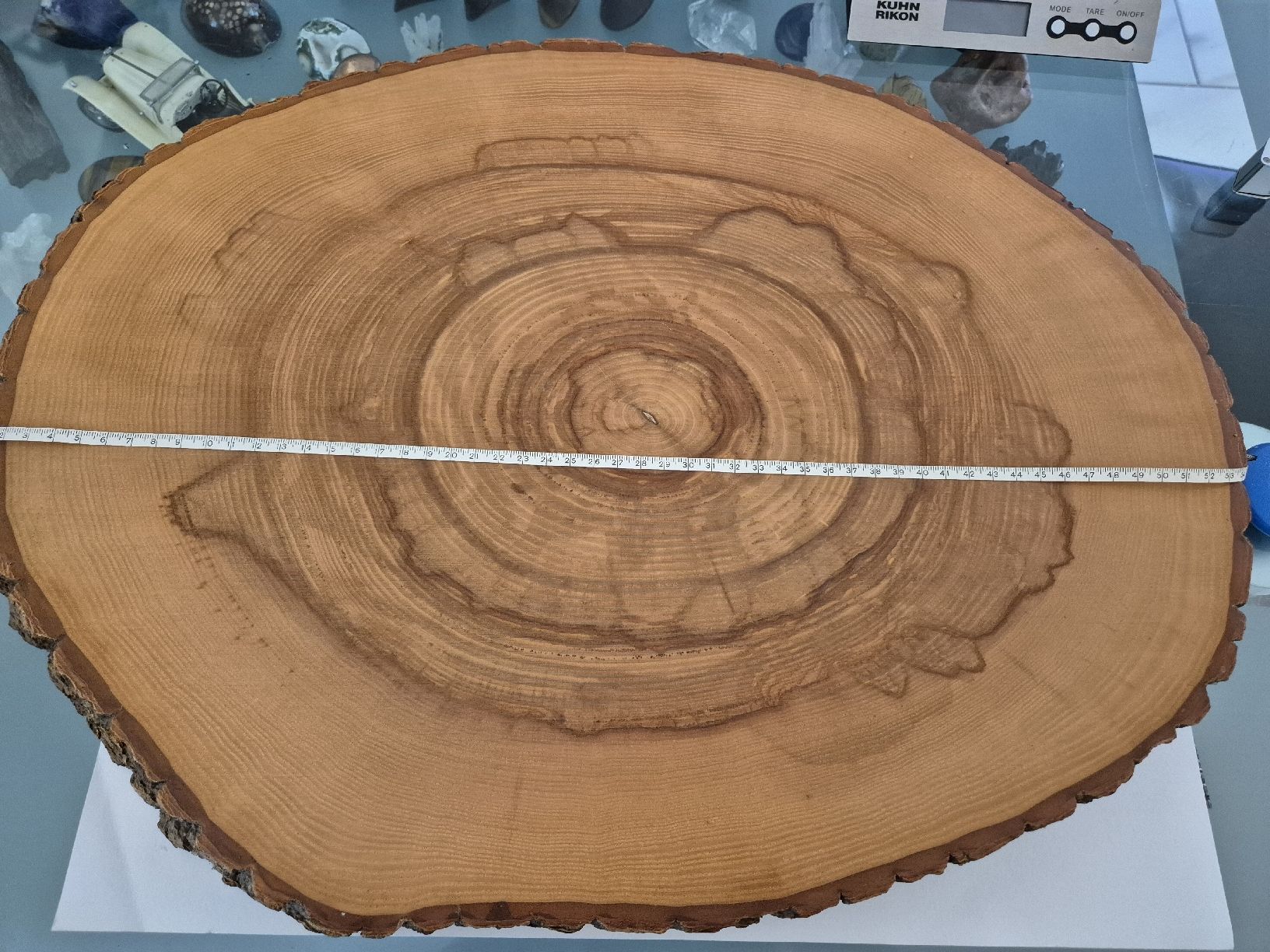 Holzartikel: Baumscheibe Holz mit Rinde 55cm  Unikat Brett Schneidebrett – Gebraucht aus Russikon von eunicetungol 2