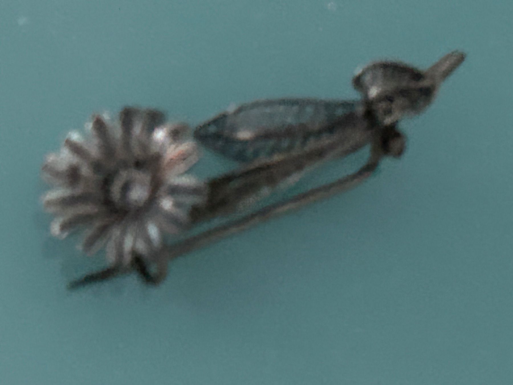 Spille & Fermagli: Kleine, filigrane Brosche in Blumenform – Usato da Eschenz venduto da glaro14 2