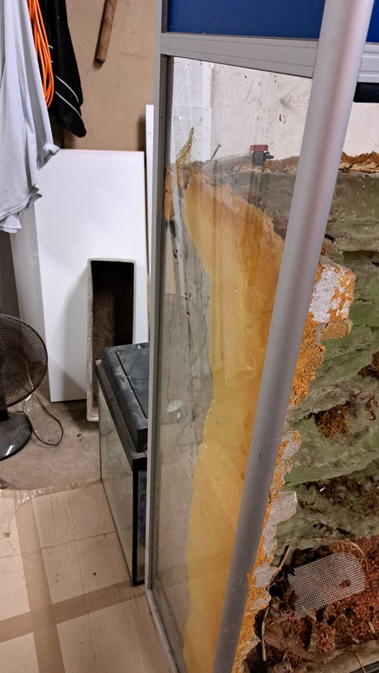 Terrarium: Terrarium – Gebraucht aus Oberentfelden von Myri13 4