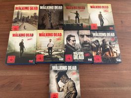 The Walking Dead: Staffeln 1-9