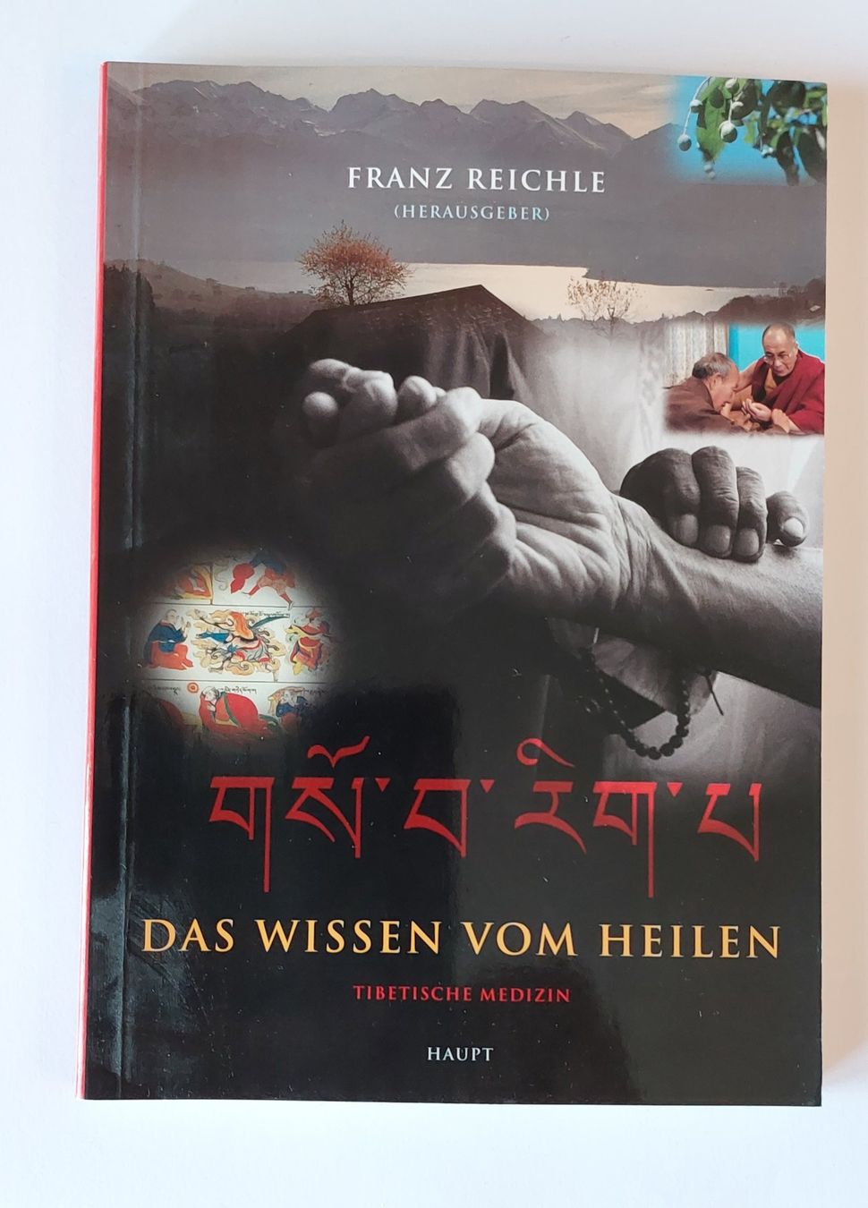 Libri: Das Wissen vom Heilen – Usato da Zürich venduto da Kaltfuss