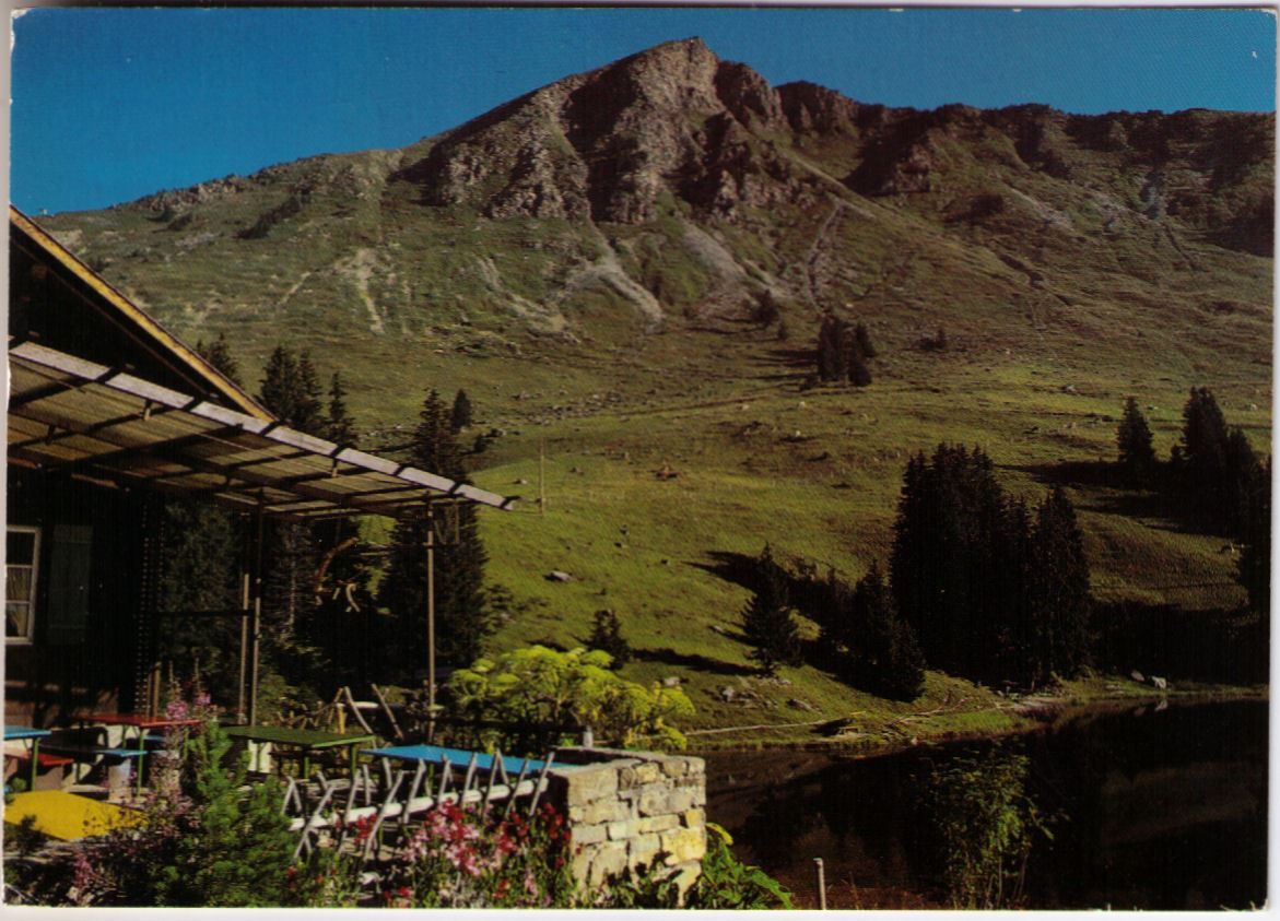 Ansichtskarten: Les Diablerets - Platte d'Isenau – Gebraucht aus Binningen von Mountainrider