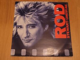 LP Rod Stewart