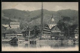 AK Walchwil, Ortsansicht, 1905