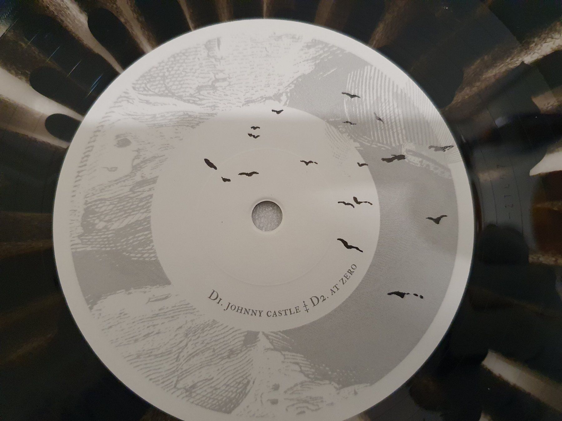 Dischi in vinile: Arktika – At Zero / 2 LP`s – Usato da Uster venduto da Vinyl-Leidenschaft 9