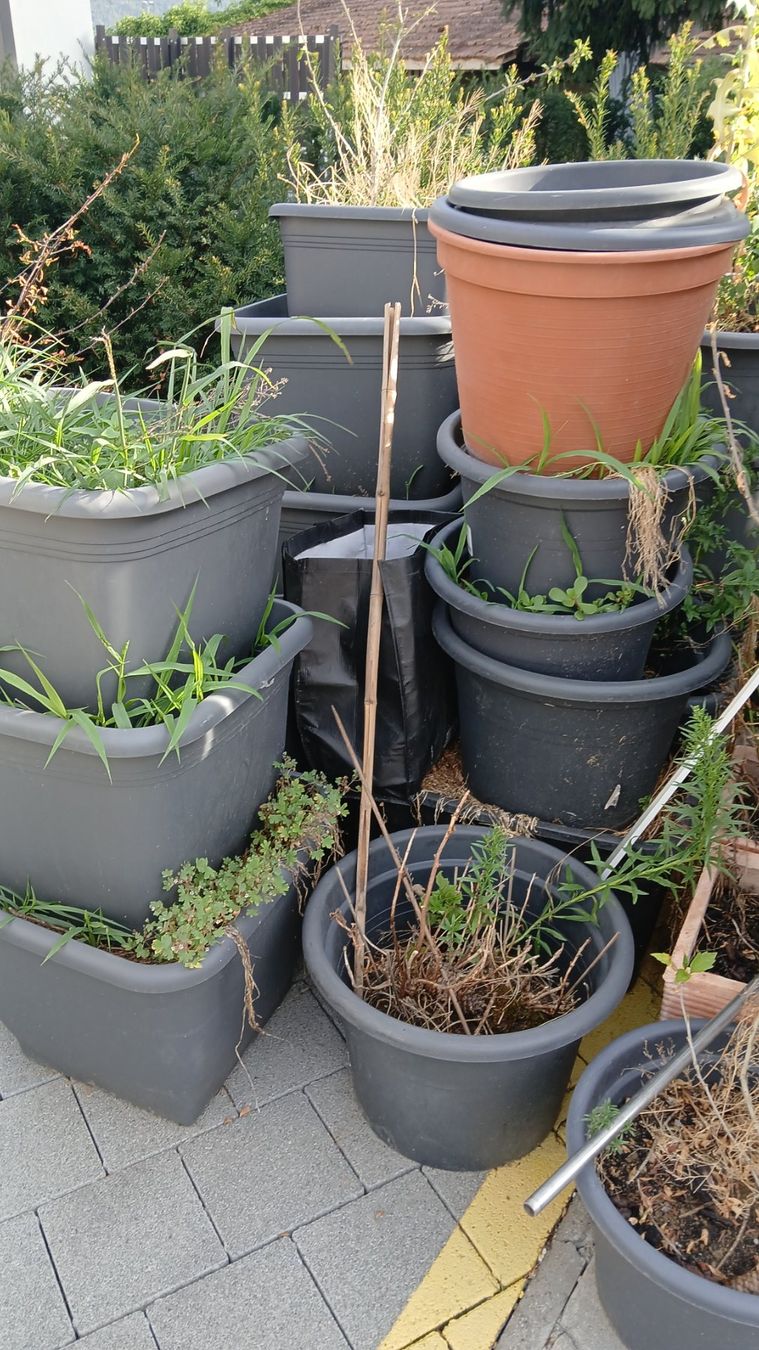 Pots de fleurs: Töpfe mit Erde – D'occasion à Therwil par Heavenkey