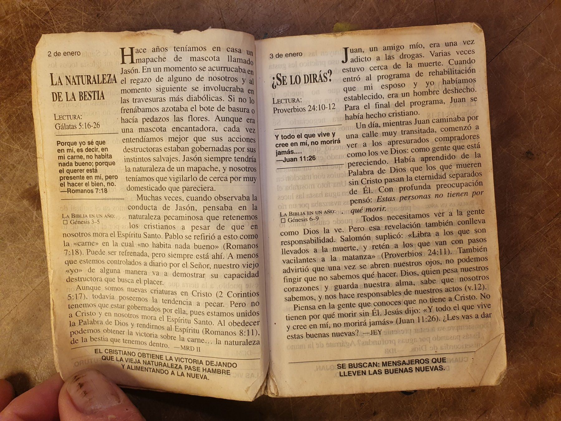 Libri: Nuestro Pan Diario – Usato da Zürich venduto da loosebone 3