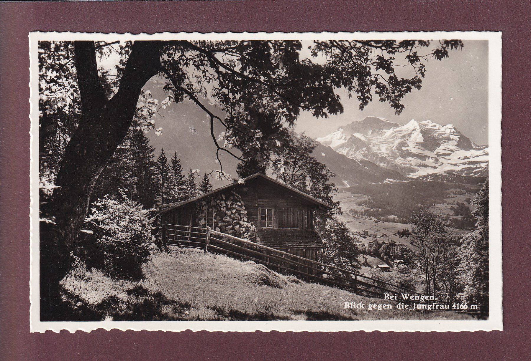 Cartoline postali: Bei WENGEN - Jungfrau – Usato da Pully venduto da nicecards