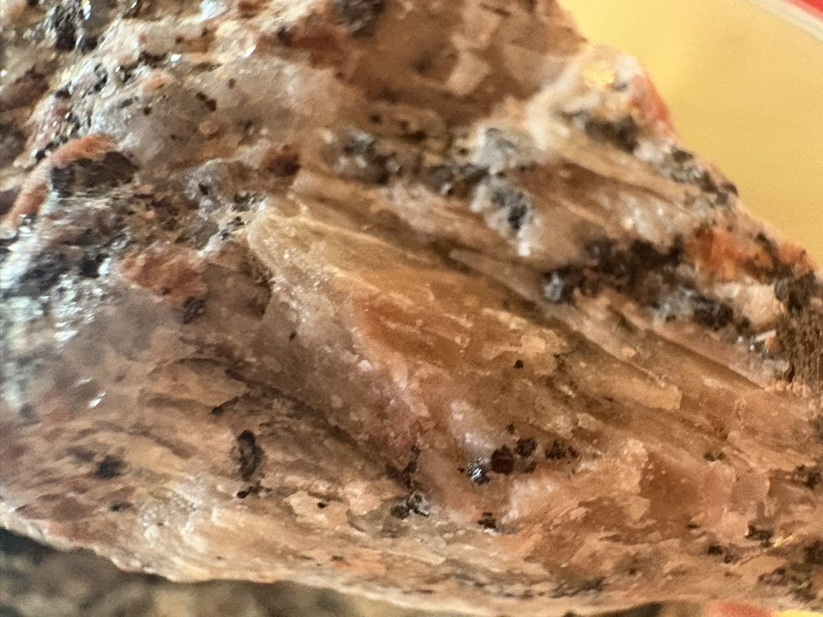 Steine & Dachziegeln: Naturstein/ granit/Aare  – Gebraucht aus Murten von Tzaugg 1