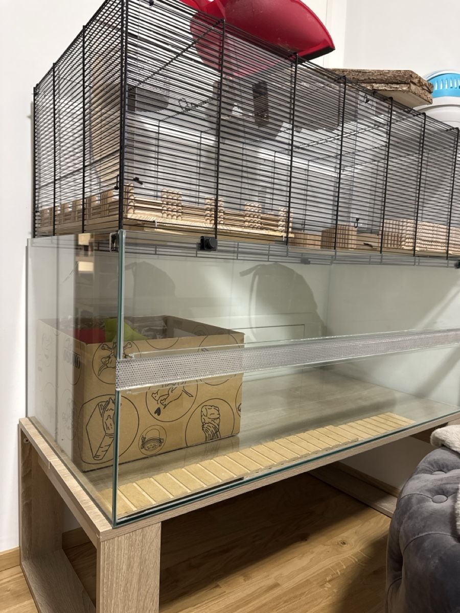 Gabbie, trasporto & Sicurezza: Hamsterkäfig mit Möbel – Usato da Winterthur venduto da Sabrina91 3