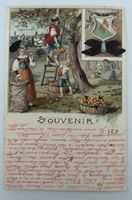Alte Ansichtskarte Frauenfeld Thurgau gelaufen 1900