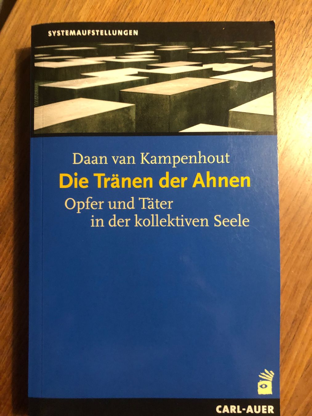 Libri: Daan van Kampenhout DIE TRÄNEN DER AHNEN – Usato da Wattwil venduto da jopara