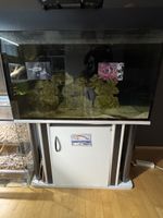 Grosses Aquarium mit Unterschrank, 250 l.