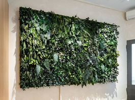 Echtes Pflanzenbild «Dschungel»  Unikat, 300x200cm