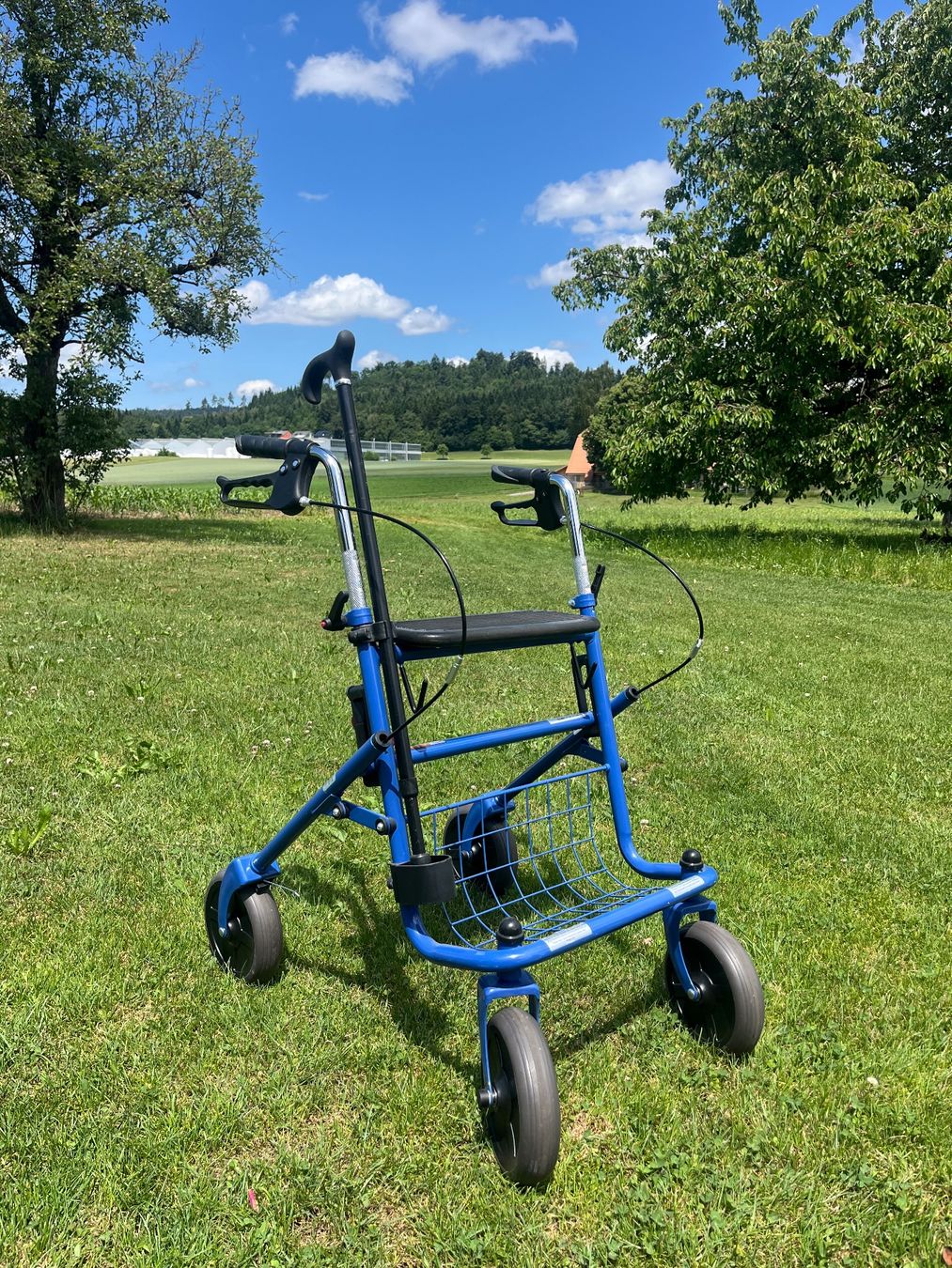 Ausili per la deambulazione: Rollator Zusammenklappbar – Usato da Allmendingen b. BE venduto da juair 2