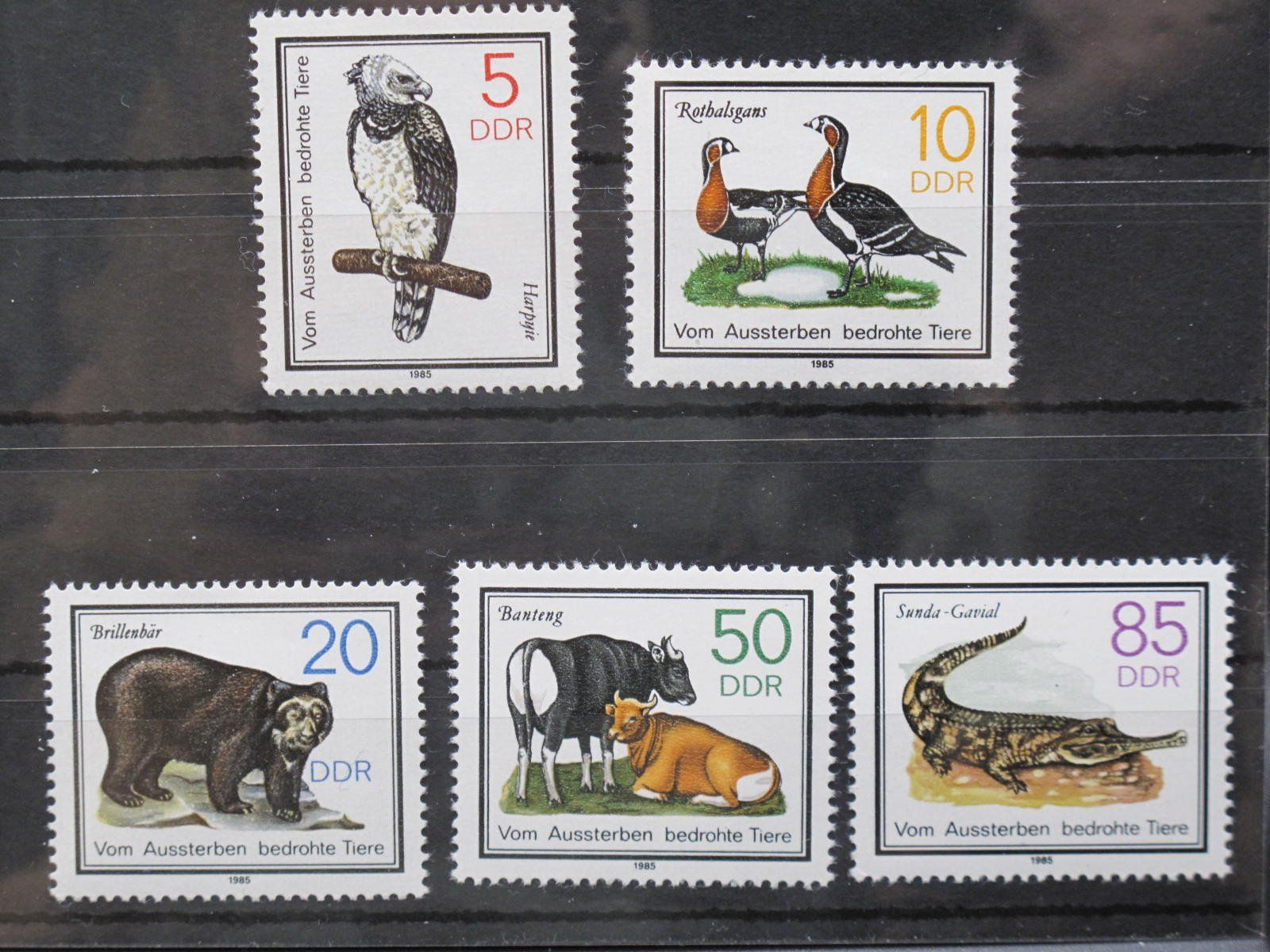 Alle Briefmarken: DDR 1985 Bedrohte Tiere ** – Gebraucht aus Wil SG von fva01
