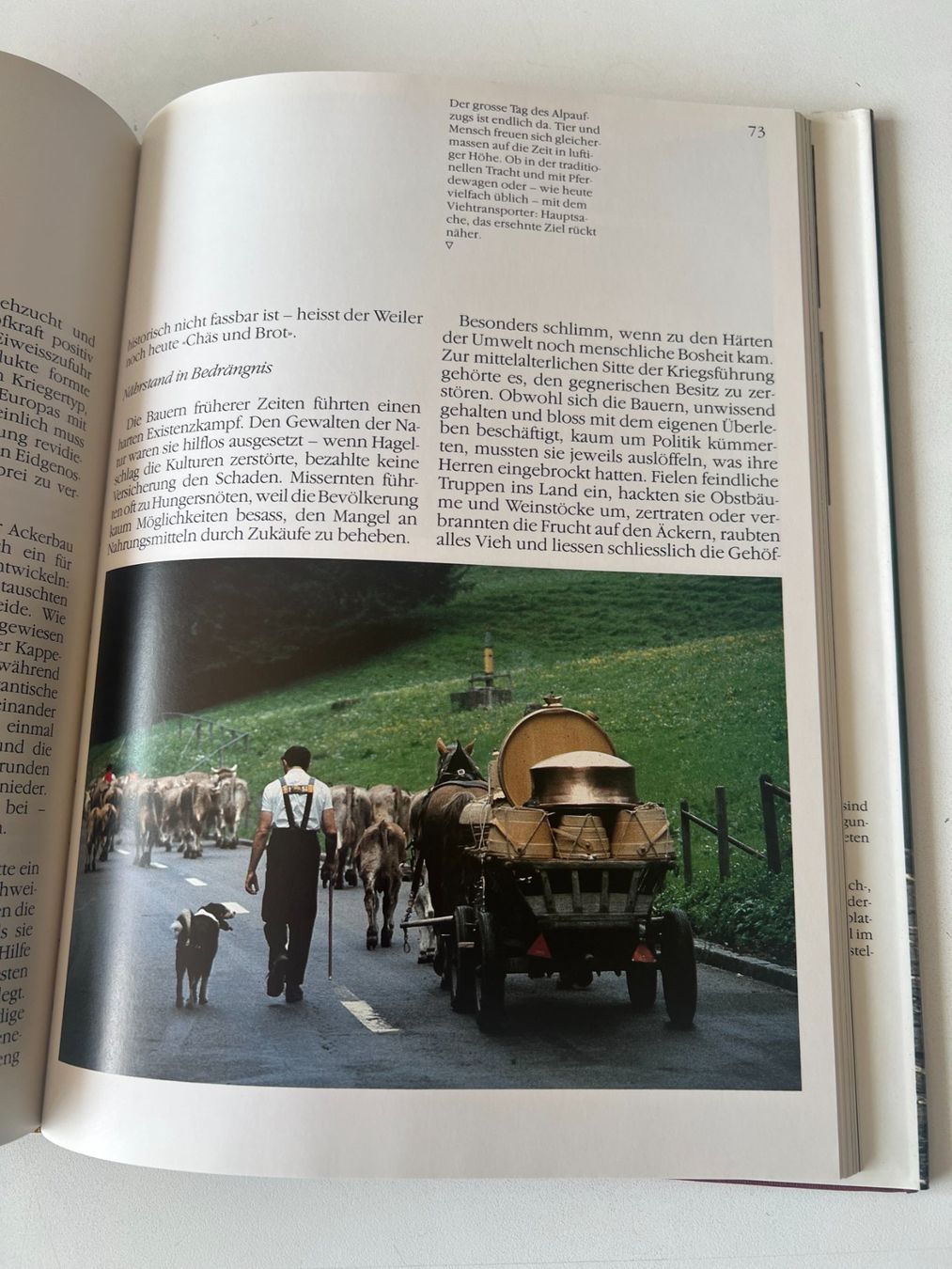 Libri: BAUERNLAND SCHWEIZ, 1987 – Usato da Worb venduto da farben20zauber 3