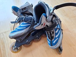 Rollerblades Gr 38