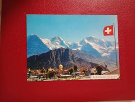 Schynige Platte Terrasse Aussicht belebte AK (970)