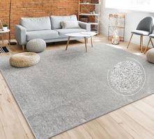 EINZELSTÜCK 🫧 Riesig & robust Teppich 240x340 Grau