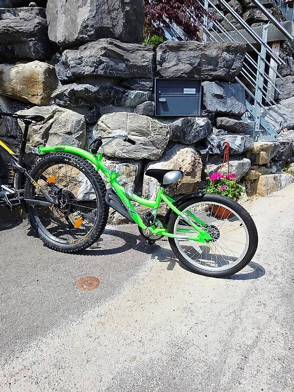 Rimorchi: Weeride Veloanhänger – Usato da Alpthal venduto da yul_c7zt