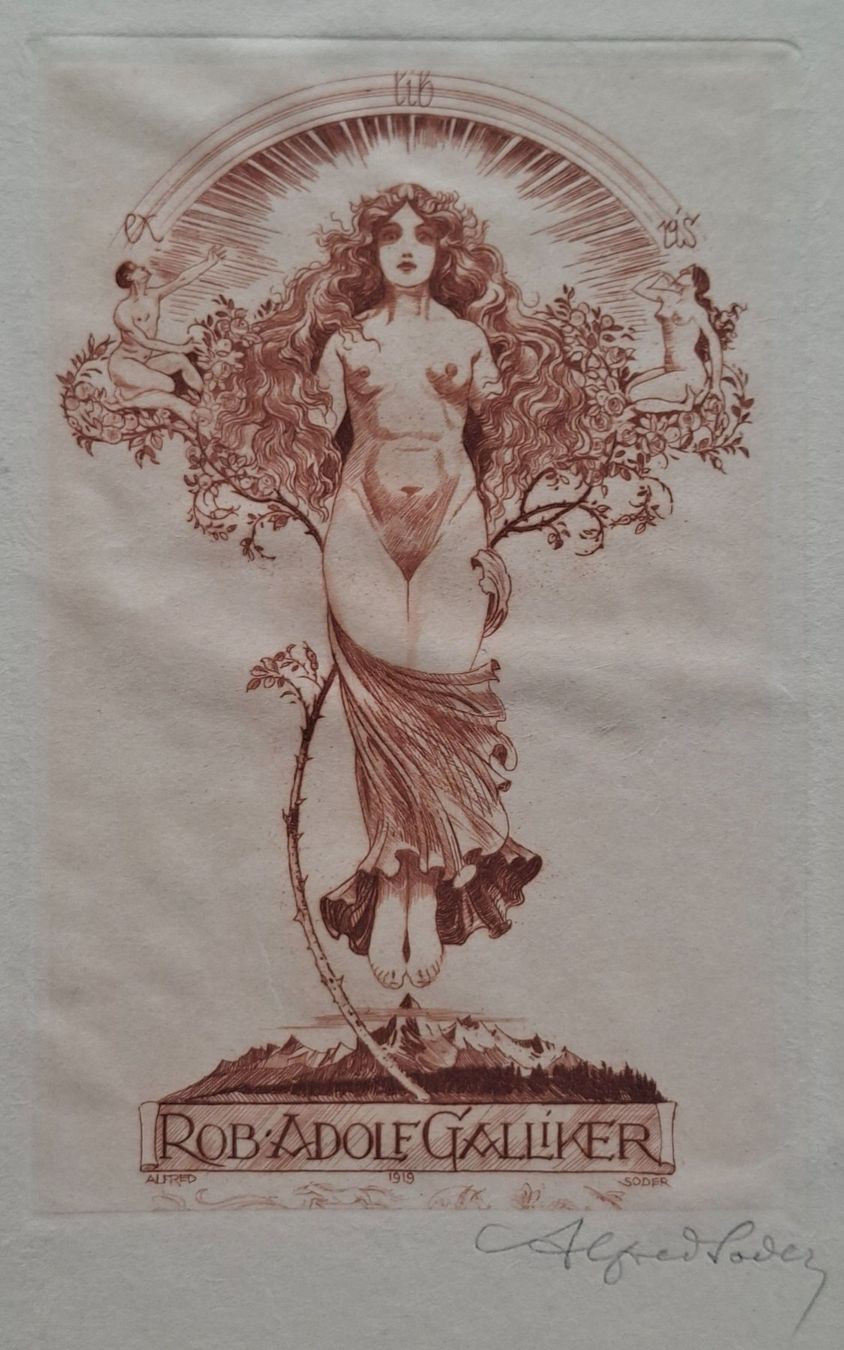 Dipinti: Jugendstil Radierung Akt 1919 Ex Libris A. Soder signiert – Usato da Opfikon venduto da Diversamente 1