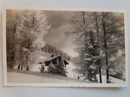 La Prafandaz: Mélèzes givrés, Chalet