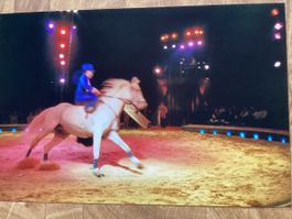 Circus Knie Foto 2006