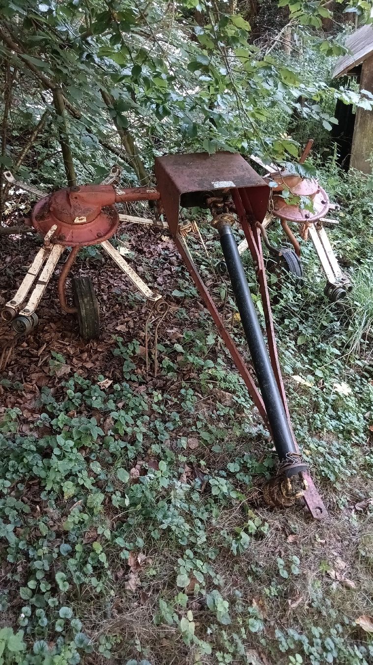 Toutes les machines: Kreiselheuer 2er Kreisler – D'occasion à Fischingen par fis_fd8k