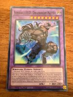Yu-Gi-Oh!-Karte - Schicksals-HELD - Dr. Master (BETB-DE037)
