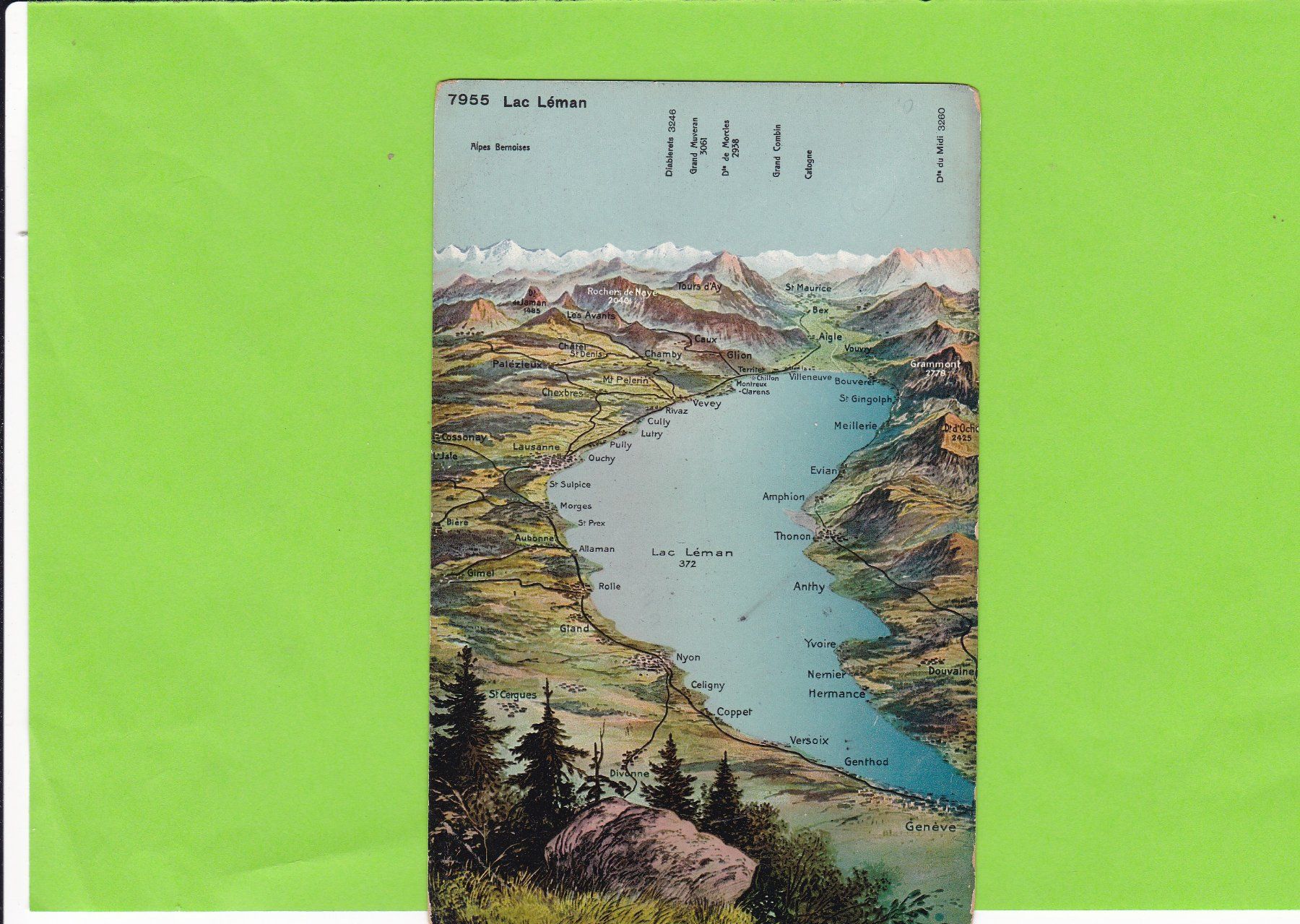 Cartoline postali: Panorama Lac Léman – Usato da St. Peterzell venduto da neckertal