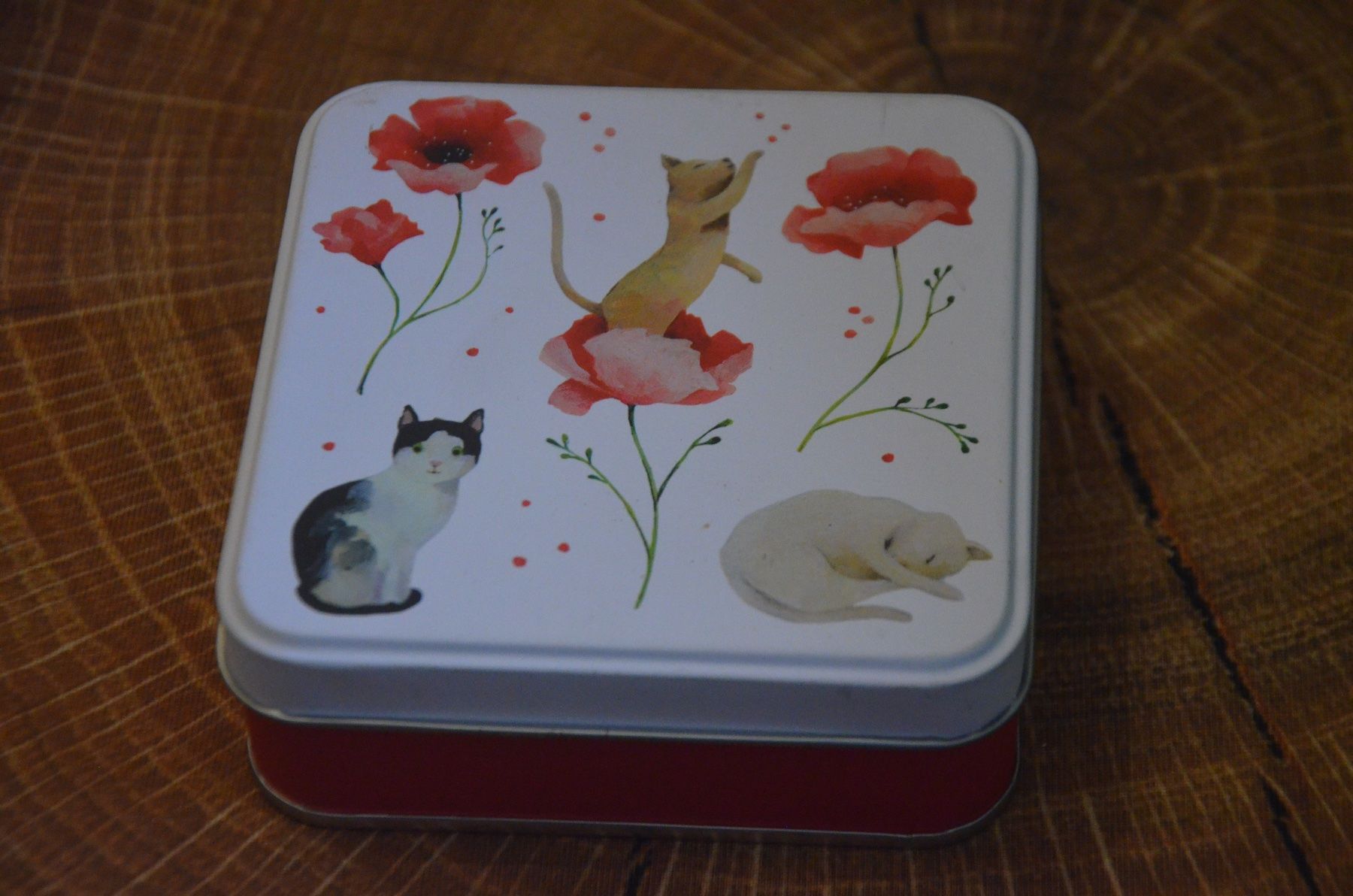 Contenitori & Simili: BOITE – Usato da Chiasso venduto da Dolly015