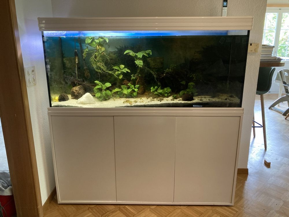 Wunderbar Aquarium Gebraucht Kaufen Ebenbild