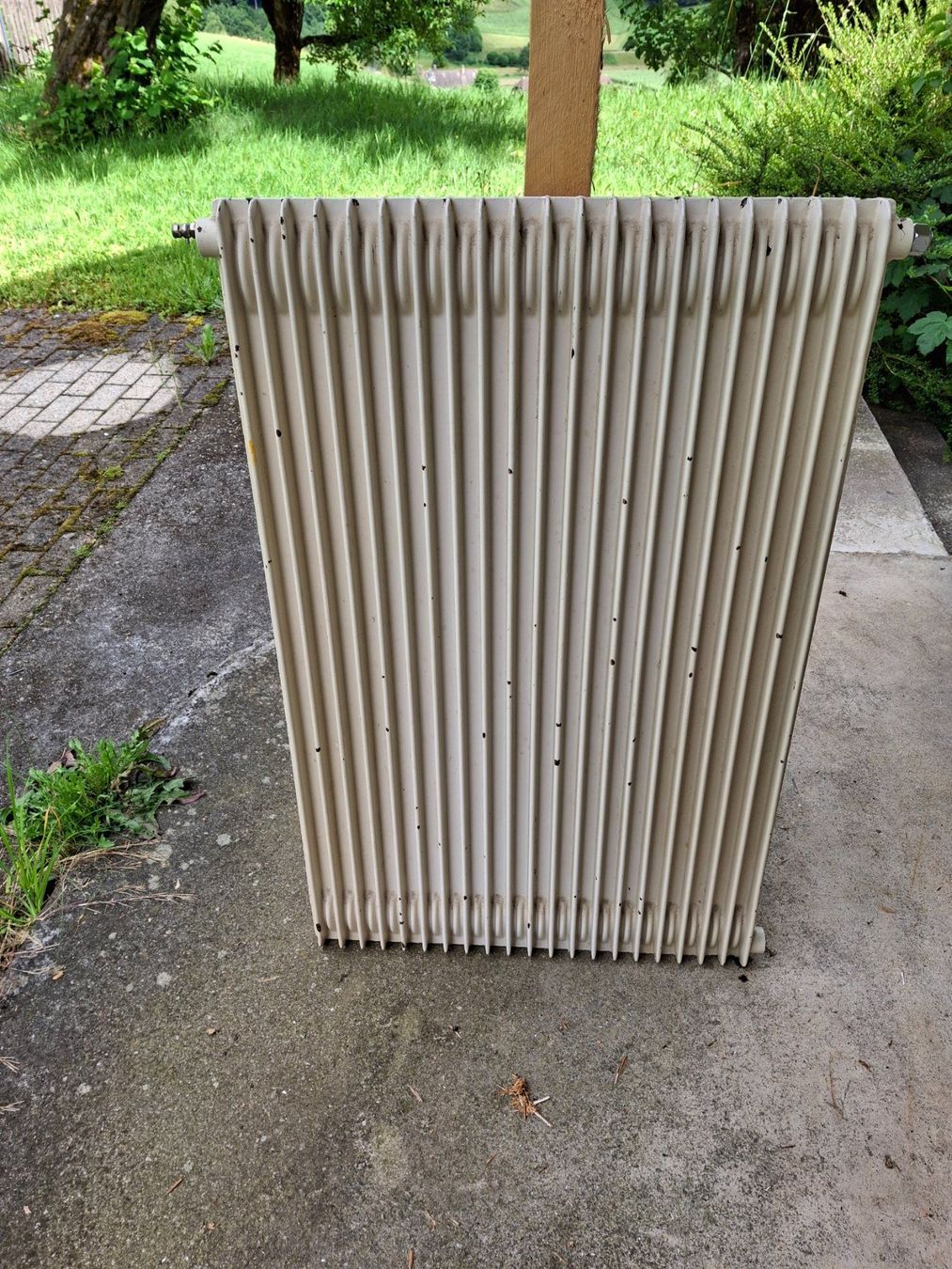 Radiateurs: Radiator – D'occasion à Melchnau par Buetzberghof-18