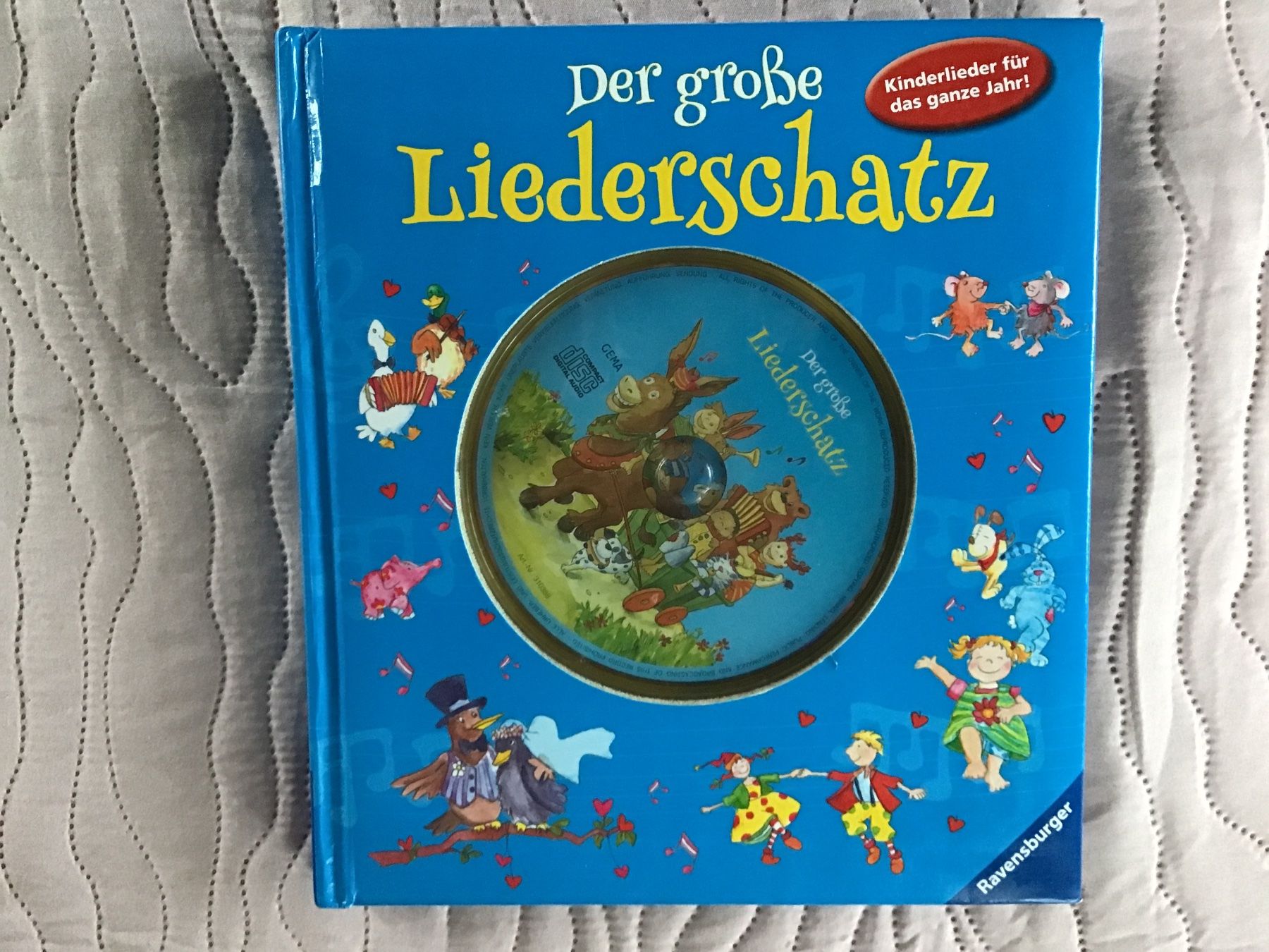 Libri: Der grosse LiederSchatz Kinderliederbuch mit CD, Top! – Usato da Rüti ZH venduto da Wernika1