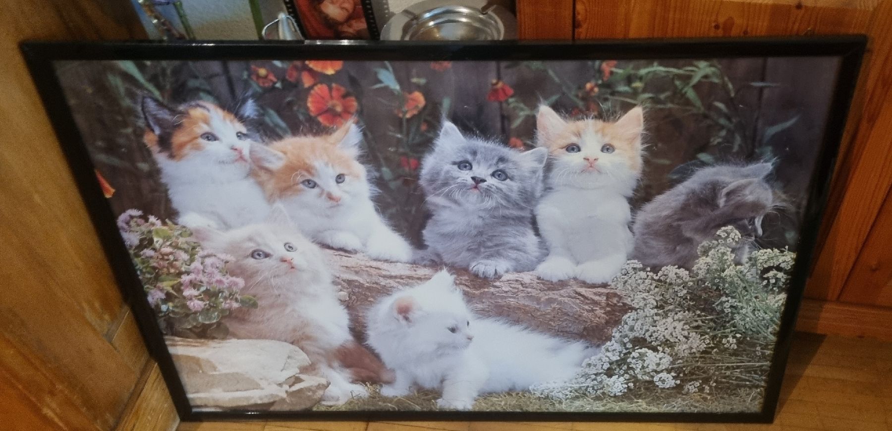 Poster & Bilder: Süsses Katzenbild mit Rahmen gerahmt – Gebraucht aus Basel von Jcva 1