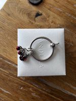 pandora kettenanhänger mit 2 charms