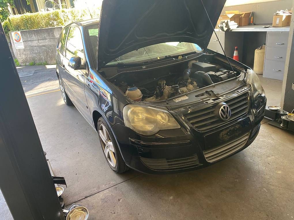 Autos: VW Polo Gebrauchtwagen  – Gebraucht aus Wabern von Stefan.80 1