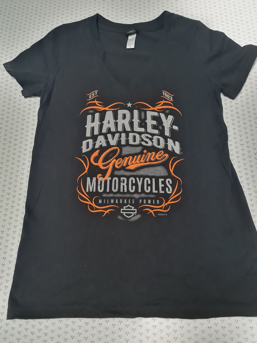 Harley-Davidson T-shirt: Harley Davidson TShirt, Gr.L – Usato da Däniken SO venduto da sch_vqv2
