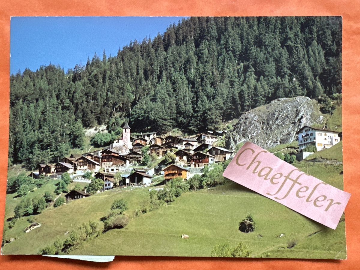 Cartoline postali: 1981  Guttet Wallis, frankiert – Usato da Zürich venduto da Chaeffeler