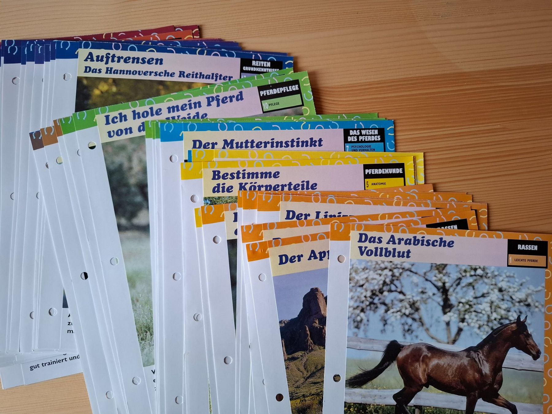 Libri: Pferdebücher und Zeitschriften – Usato da Oberurnen venduto da rotty80 9