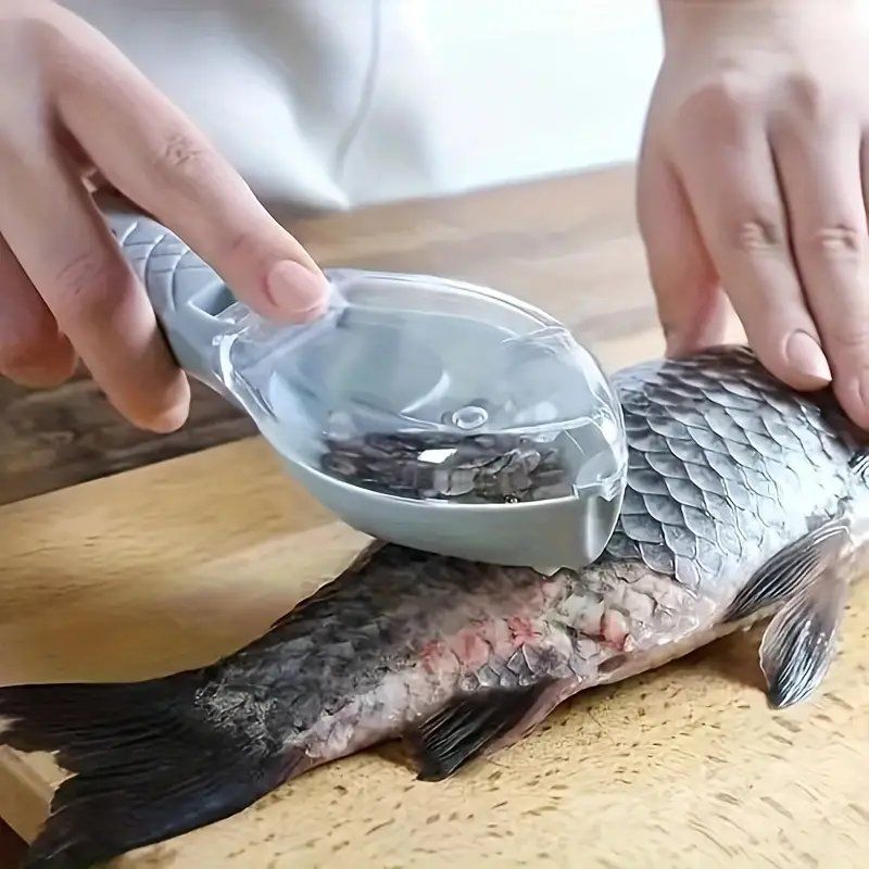 Altro per la casa: Fischschuppenentferner - Langlebiger Kunststoff – Nuovo e nell'imballaggio originale da Kehrsatz venduto da rabrovo56 1