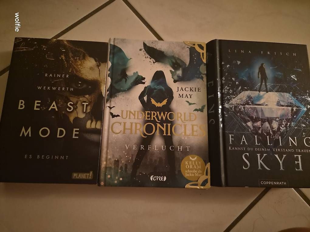 Libri: Drei Jugend fantasy Bücher  – Usato da Suhr venduto da ste_w8yp