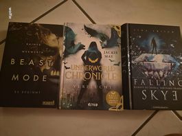 Drei Jugend fantasy Bücher 