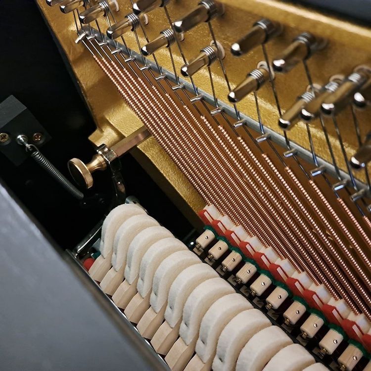 Musikinstrumente: C116 Classic Modern twintone schwarz poliert, Chrom – Neu (gemäss Beschreibung) aus Ittigen von KrompholzMusik 5