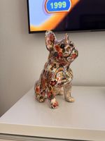 Französische Bulldogge 