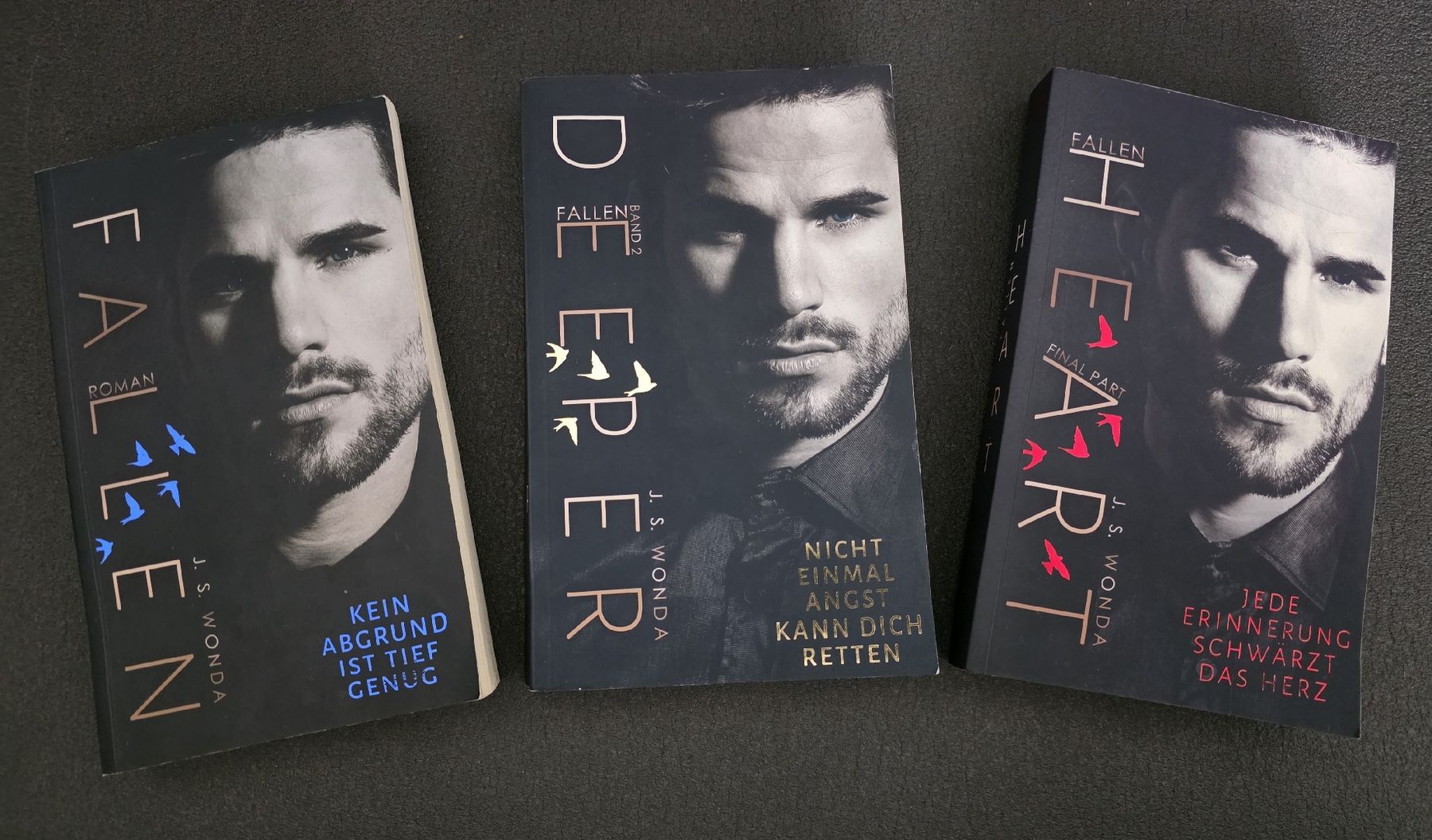 Libri: Dark Romance Fallen Reihe J.s Wonda – Usato da Tägerwilen venduto da XeniaH