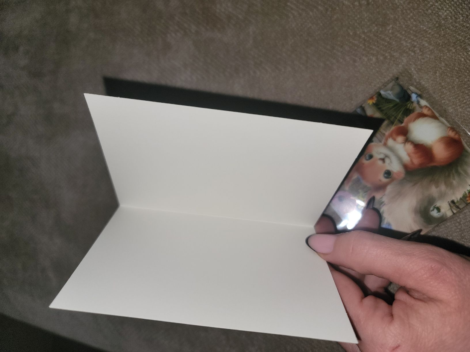 Cartoline: Squirrel, écureuil, Eichhörnchen, Geschenktüte, Scoiattolo – Nuovo e nell'imballaggio originale da Zollikerberg venduto da Nice_Name 3